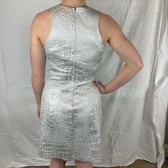 Rebecca Taylor silver dress. Brand New with tags! - Picture 6 of 9